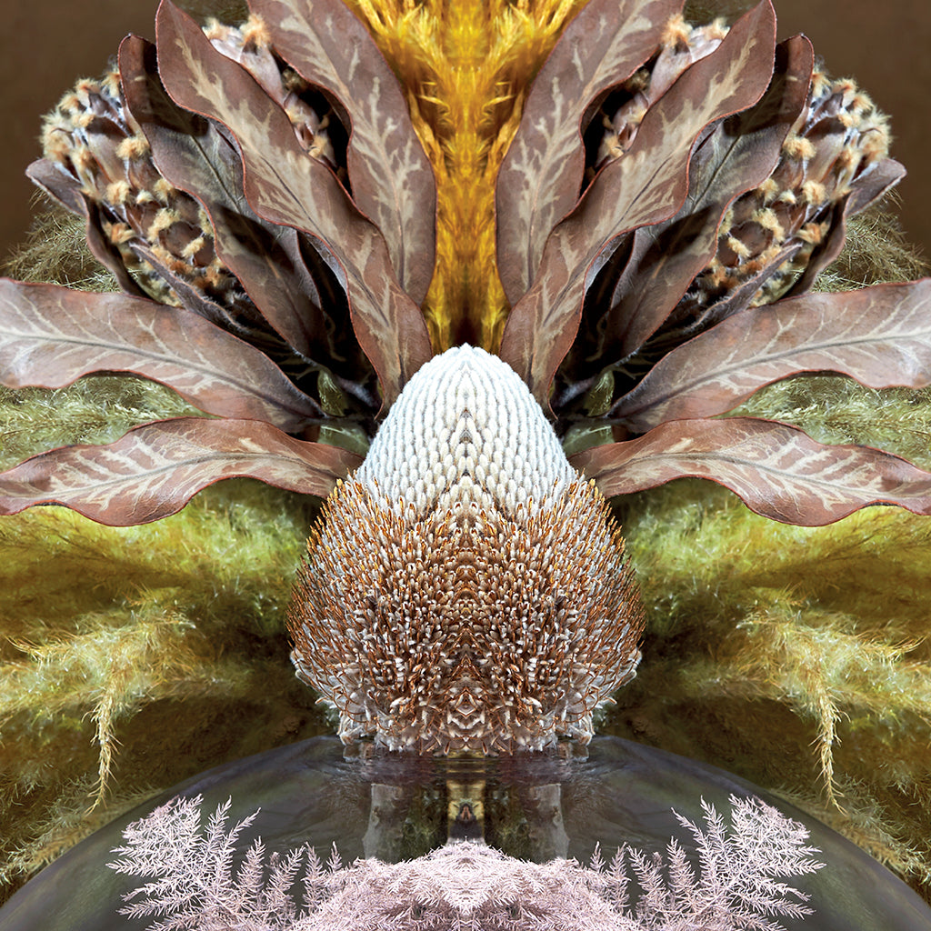 ChiCura Posters Reflection CC1 Posters / Flowers & Plants Multiple Color