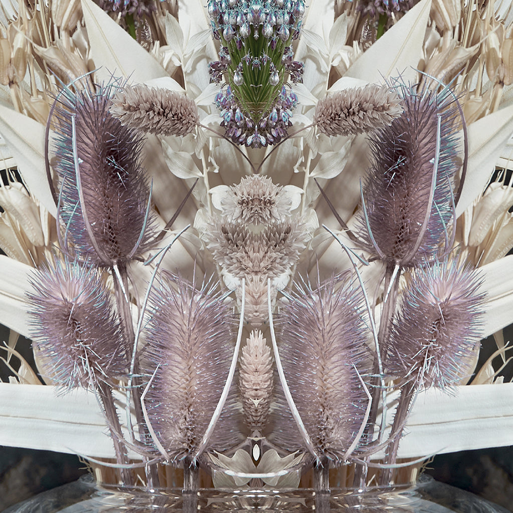 ChiCura Posters Reflection CC9 Posters / Flowers & Plants Multiple Color