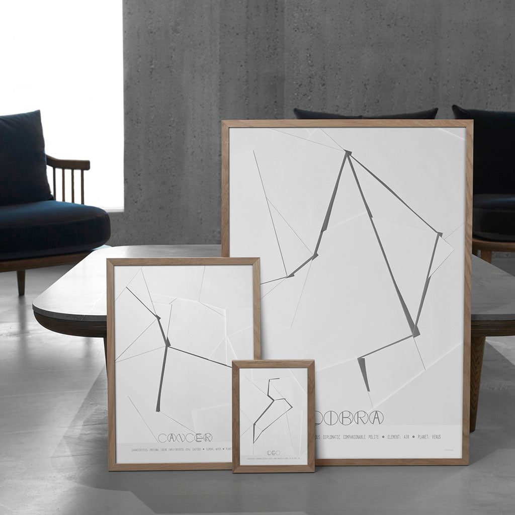 ChiCura Posters Capricorn - The Goat - 70x100cm Posters / Zodiac Signs Black / White