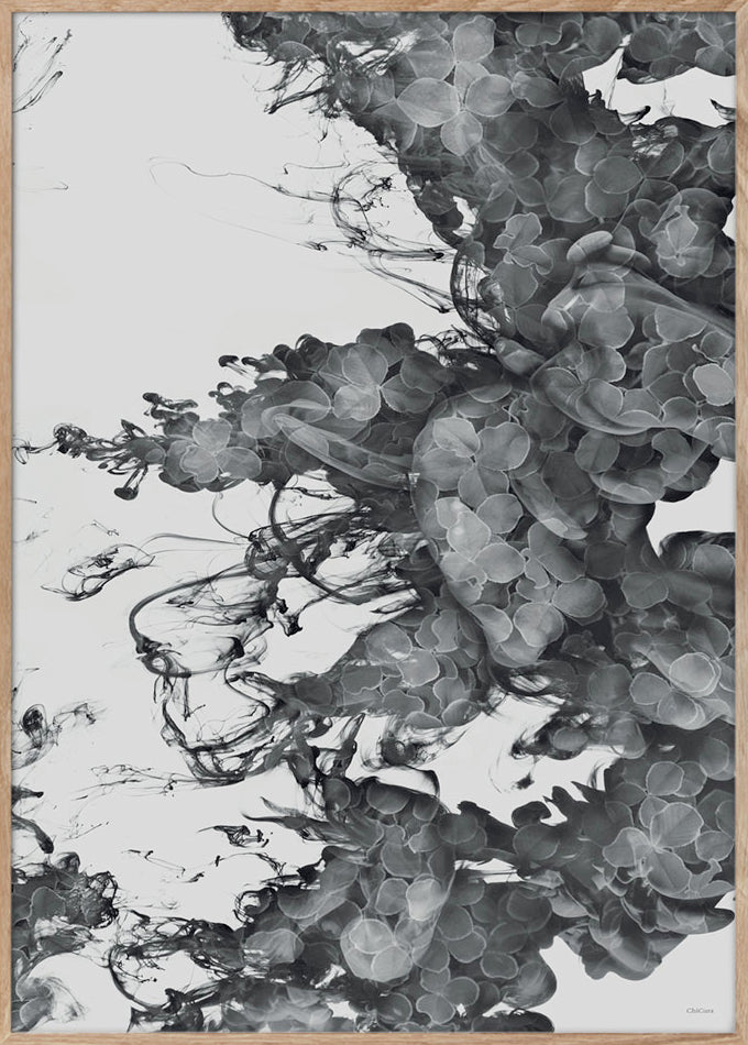 ChiCura Posters Floating Flowers - A3 Posters / Flowers & Plants Multiple Color
