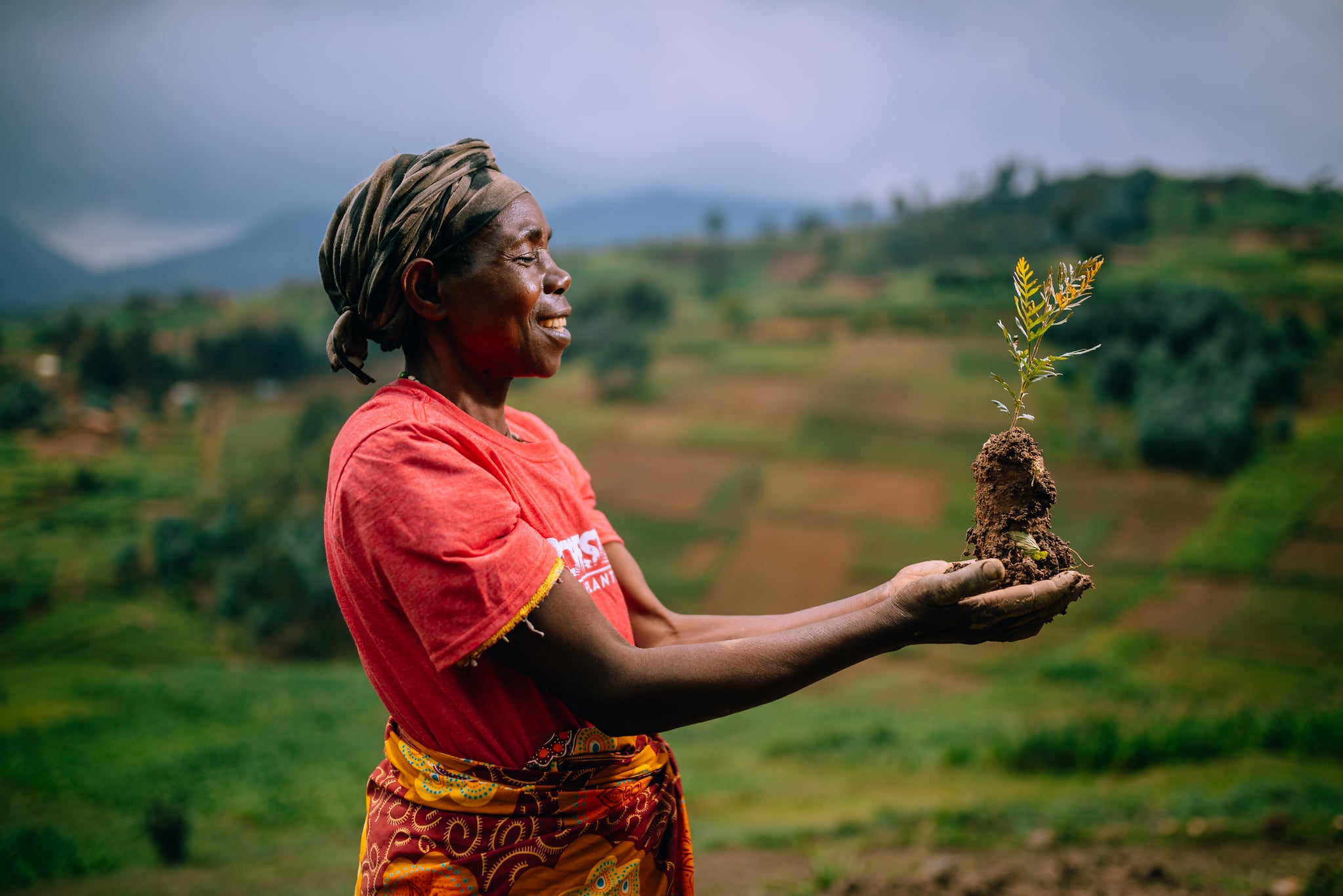 ChiCura Posters Tak fordi du planter et træ Posters / Project: Land Of Hope